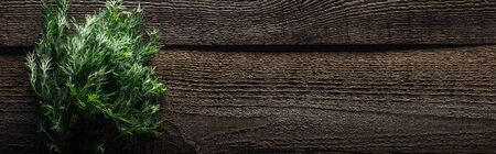 top view of green dill on wooden weathered table with copy space, panoramic shot