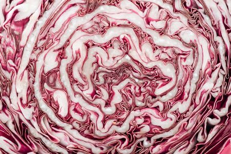 background of fresh cut textured red cabbageの写真素材