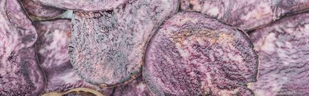 panoramic shot of cut fresh purple radish slices in pileの写真素材