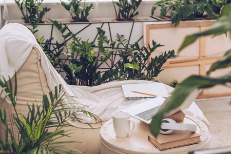 selective focus of laptop, headphones and coffee cup on pouf near soft chaise lounge surrounded by green plantsの写真素材