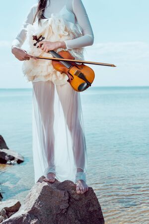 Cropped view of adult woman in white swan costume standing on blue river background with violinの写真素材