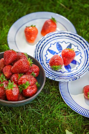 Close up of organic strawberries in bowl and plates on green grassの写真素材