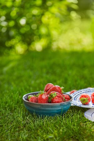 Red sweet strawberries in bowl and plates on green grassの写真素材