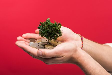 Cropped view of man holding money tree and coins on pink backgroundの写真素材
