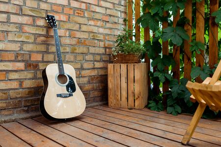 Selective focus of acoustic guitar near brick wall and wooden fence with green leaves
