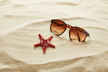 Brown stylish sunglasses on sand with red starfishの写真素材