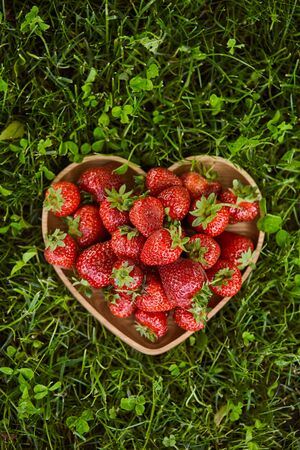 Top view of organic strawberries in wooden heart shaped plate on green grassの写真素材