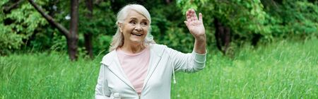 Panoramic shot of cheerful senior woman with grey hair waving hand in parkの写真素材