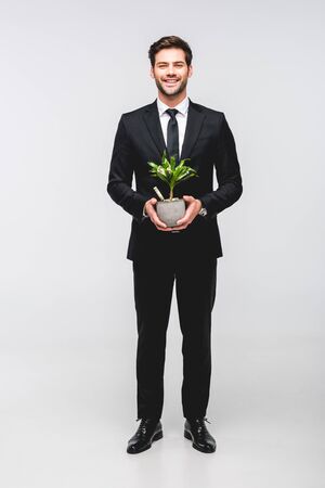 Handsome businessman in suit holding flowerpot with money isolated on grey backgroundの写真素材
