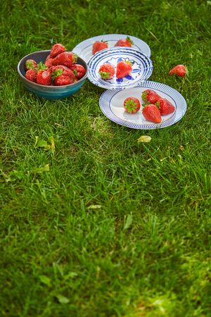 Red sweet strawberries in bowl and plates on green grass with copy spaceの写真素材