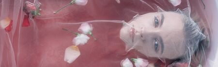 Top view of beautiful woman covered with white mesh cloth in pink water with rose petals, panoramic shotの写真素材