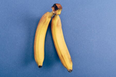 Top view of two bright and fresh bananas on blue background