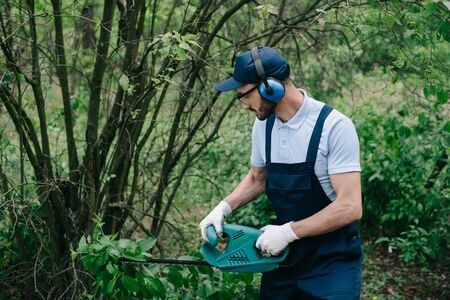 Gardener in noise-canceling headphones and overalls pruning bushes with electric trimmer
