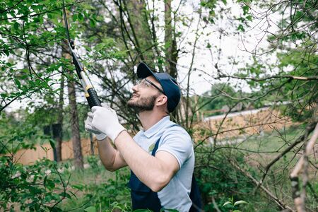 Smiling gardener in protective glasses and cap cutting bushes with trimmer in parkの写真素材