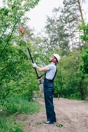 Gardener in helmet and overalls trimming trees with telescopic pole saw in garden