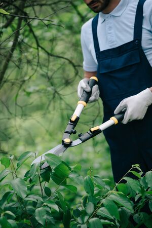 Cropped view of gardener in overalls cutting bushes with trimmer in parkの写真素材
