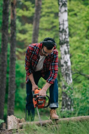 Lumberman in hearing protectors cutting wood with chainsaw in forestの写真素材