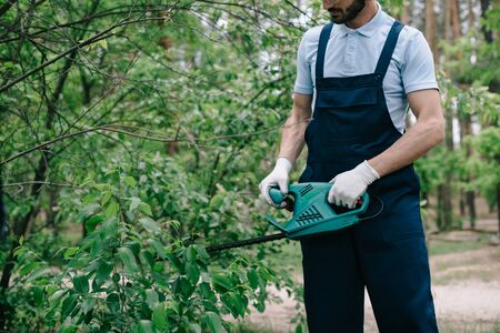 Partial view of gardener trimming bushes with electric prunerの写真素材