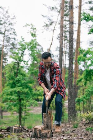 Lumberman in denim jeans and plaid shirt cutting wood with ax in forestの写真素材