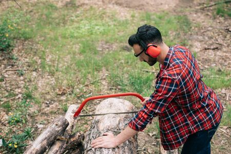 Lumberman in hearing protectors cutting tree trunk  with handsaw in forestの写真素材