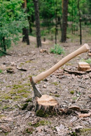 Sharp ax with long wooden handle on wood stump in forestの写真素材