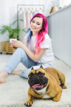 selective focus of Frenchie laying on floor and girl with colorful hair and cup of coffeeの写真素材