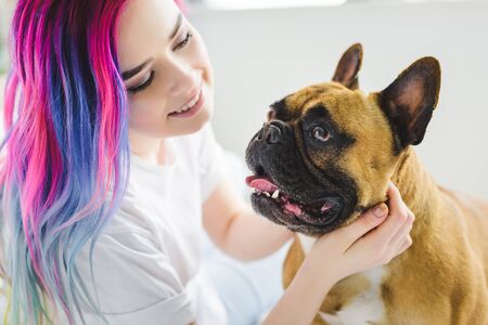 attractive girl with colorful hair petting and looking at cute french bulldogの写真素材