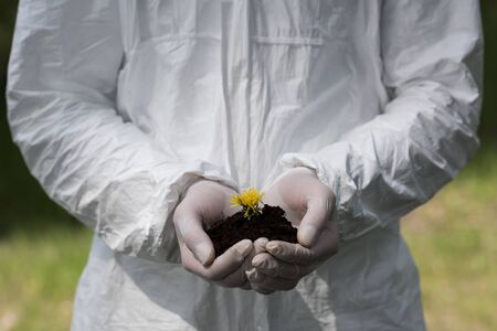 partial view of ecologist in latex gloves holding handful of soil with dandelionの写真素材