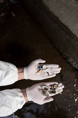 cropped view of ecologist in latex gloves holding seashells and plastic garbage