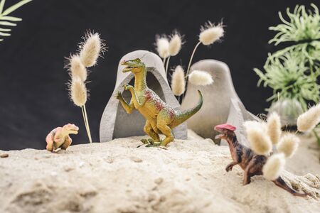 selective focus of toy dinosaurs standing near caves and plants on sand duneの写真素材