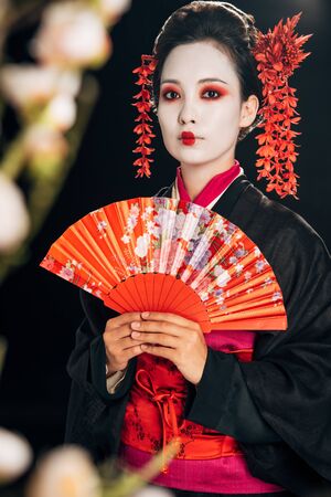 selective focus of beautiful geisha in black kimono with flowers in hair holding hand fan and sakura branches isolated on blackの写真素材