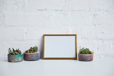 green succulents in flowerpots near blank in frame on brick wall backgroundの写真素材