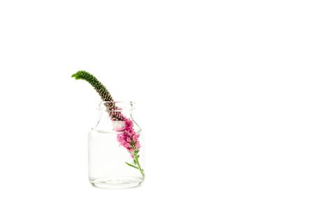 glass bottle with pink veronica flower isolated on whiteの写真素材
