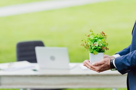 cropped view of young businessman holding plant in flowerpot in park near tableの写真素材