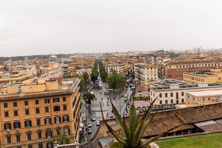ROME, ITALY - JUNE 28, 2019: selective focus of aloe vera and people with umbrellas on streetのeditorial素材