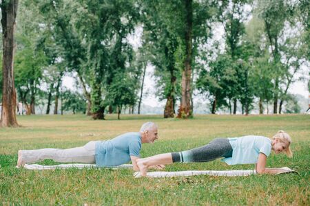 mature man and woman doing plank exercise while practicing yoga on yoga mats in parkの写真素材