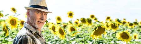 panoramic shot of happy self-employed farmer near sunflowers
