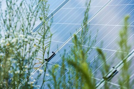 selective focus of blue solar energy batteries and flowers