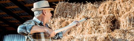 panoramic shot of senior man holding rake near hayの写真素材