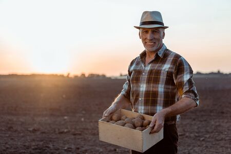cheerful self-employed farmer holding box with organic potatoesの写真素材