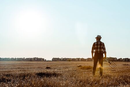 back view of senior man holding rake in wheat fieldの写真素材
