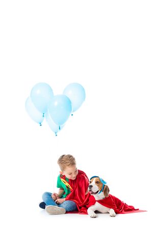 preschooler child and beagle dog in red hero cloaks with blue party balloons on whiteの写真素材