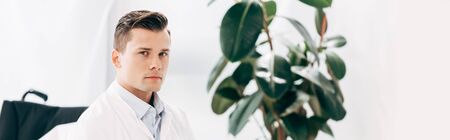 panoramic shot of pensive doctor in white coat looking at cameraの写真素材