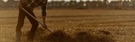 panoramic shot of self-employed man holding rake with hay in wheat field