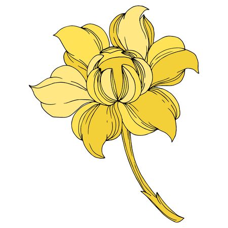 Vector Golden monogram floral ornament. Baroque design isolated elements. Black and white engraved ink art. Isolated monograms illustration element.のイラスト素材