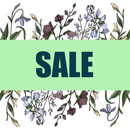 Vector Wildflower floral botanical flowers. Wild spring leaf wildflower isolated. Black and white engraved ink art. Frame border ornament square on white background.のイラスト素材