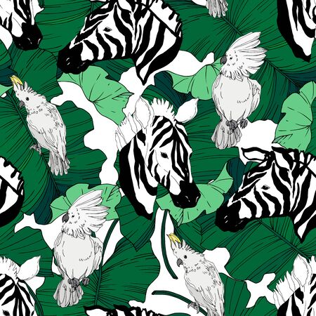 Vector Exotic zebra print wild animal isolated. Black and white engraved ink art. Seamless background pattern. Fabric wallpaper print texture.のイラスト素材