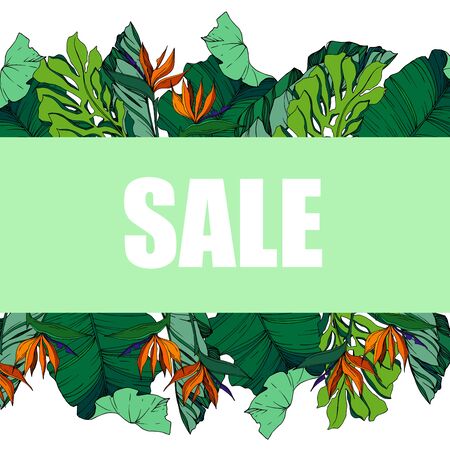 Vector Tropical floral botanical flowers. Wild spring leaf wildflower isolated. Black and white engraved ink art. Frame border ornament square on white background.のイラスト素材
