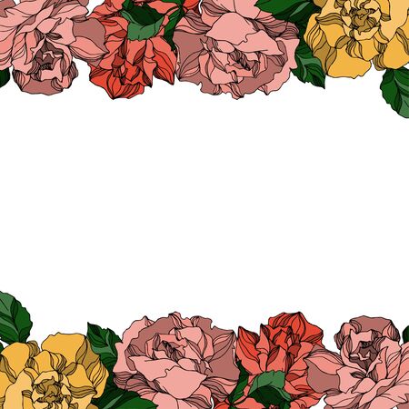 Vector Roses floral botanical flowers. Wild spring leaf wildflower isolated. Black and white engraved ink art. Frame border ornament square on white background.のイラスト素材