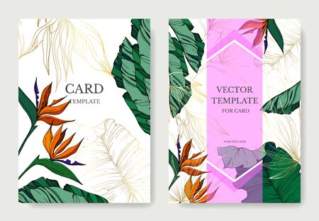 Vector Tropical floral botanical flowers. Engraved ink art. Wedding background card floral decorative border. Thank you, rsvp, invitation elegant card illustration graphic set banner.のイラスト素材